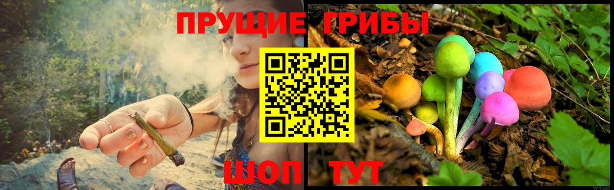 Арзамас  Галлюциногенные грибы Psilocybe  Вход с VPN 